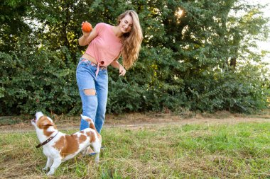 Sevimli kız parkta onun köpek ile oynuyor