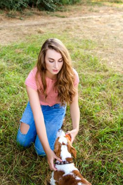 Sevimli kız parkta onun köpek ile oynuyor