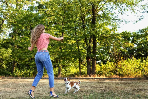 güzel kız bir beagle köpek yavrusu ile oynamak