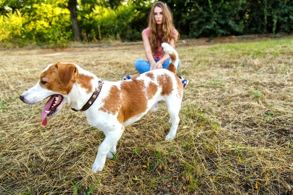 Ragazza carina sta giocando con il suo cane nel parco — Foto Stock
