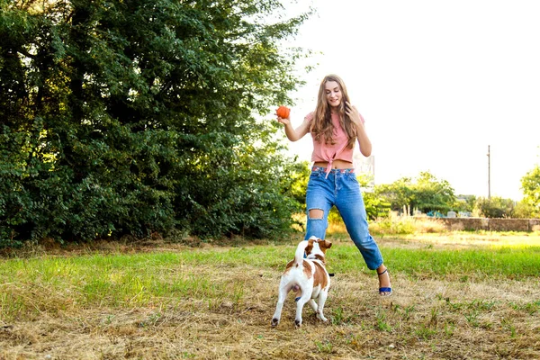 Nettes Mädchen spielt mit ihrem Hund im Park — Stockfoto