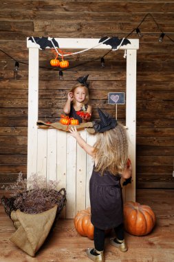 iki kız kardeş kostümleri Cadılar kabak ile stüdyoda. Cadılar Bayramı kavramı