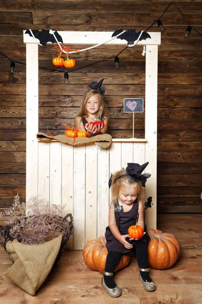 Dos hermanas disfrazadas de brujas en el Estudio con calabazas. El concepto de Halloween — Foto de Stock