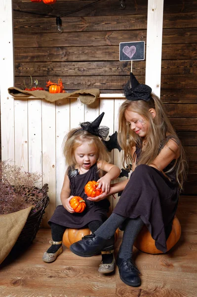 Dos hermanitas con disfraces de brujas sentadas en una calabaza. El concepto de Halloween — Foto de Stock