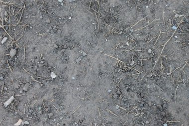 Dünya Brown ve çakıl detay