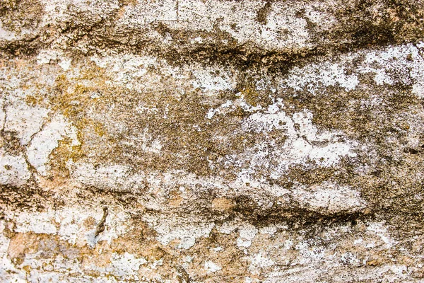 Detalle de pared de piedra vieja — Foto de Stock