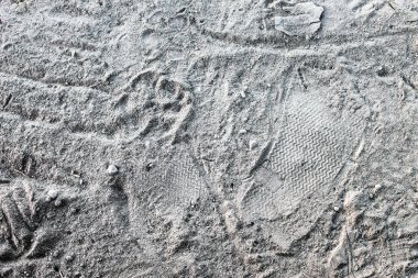 Ayak sesi kum arka planda