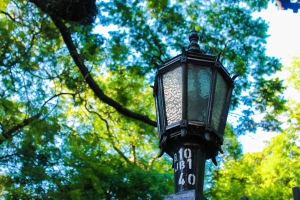 Vintage Lamppost Puutarha Puut — kuvapankkivalokuva