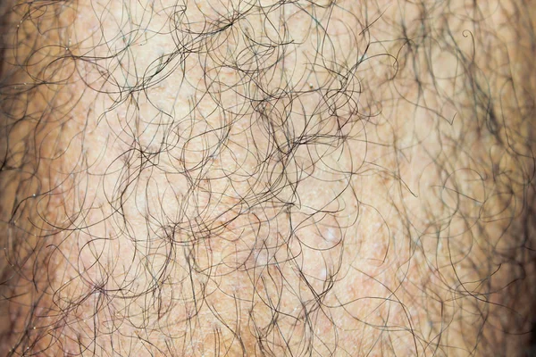 Peludo homem detalhe corpo — Fotografia de Stock