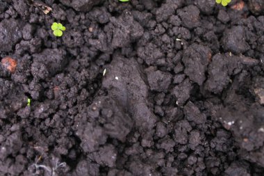 Kara çamur ayrıntılı arka plan