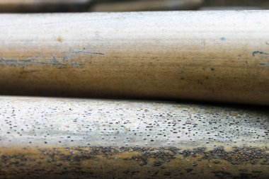 Reed kamışı doğa arka plan