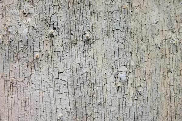 古代の木製の表面のディテール — ストック写真