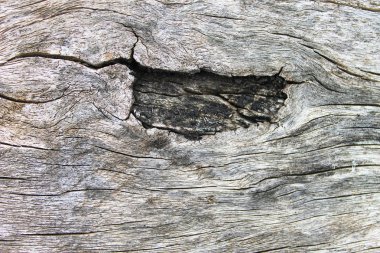 Rustik ahşap ayrıntılı arka plan