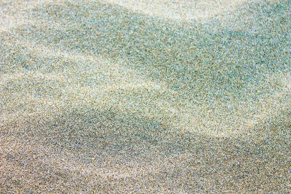 Деталь природы на песке — стоковое фото