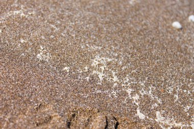 Kum Beach yüzey ayrıntı