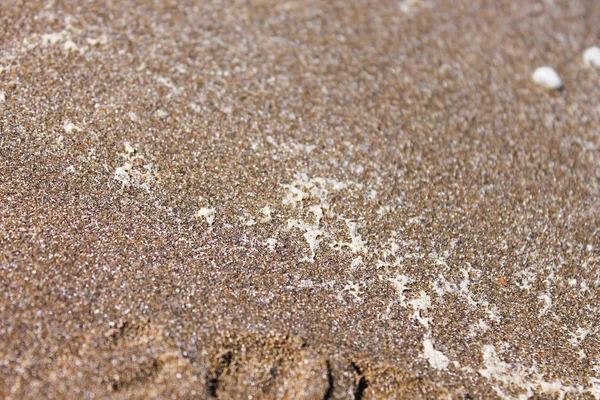 Sand Beach Surface Detail — Stock Photo, Image