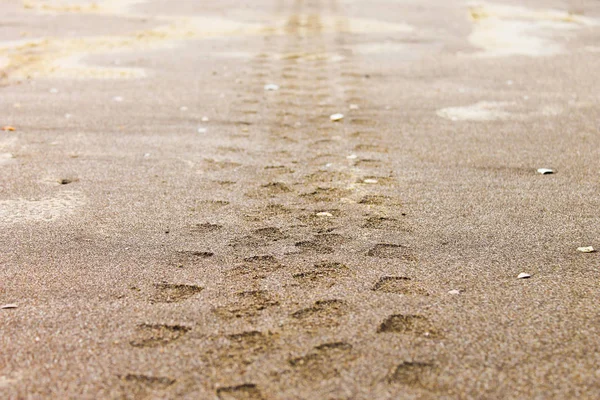 Car Marks in the Sand — Stock Photo, Image