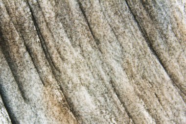 Karalama çizim siyah beyaz