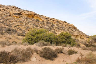 Akdeniz çöl manzara detay