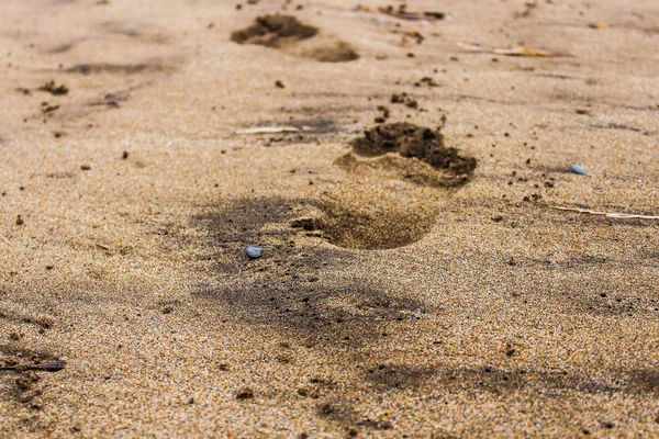Descalzos en la arena —  Fotos de Stock