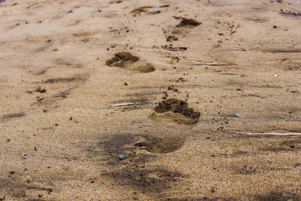 Barefoot in the Sand — Stock Photo, Image