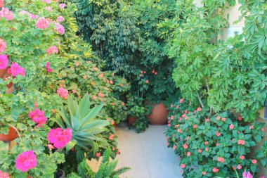 Dış Bahçe doğa yüzey