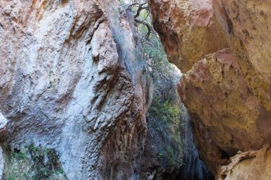 Rock yüzey doğa detay