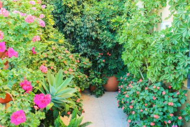 Dış Bahçe yüzey ayrıntı