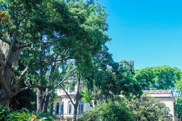 Vintage House Dış Hatlar