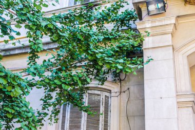 Vintage House Dış Mimarisi