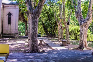 Vintage Binadaki Bahçe