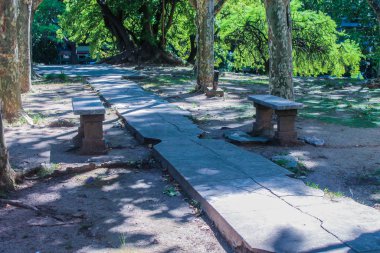 Vintage Binadaki Bahçe