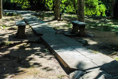 Vintage Binadaki Bahçe