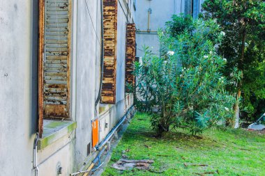 Vintage House Dış Hatlar