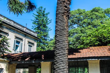 Vintage House Dış Hatlar