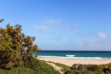 Plaj Manzarası Detay Doğası