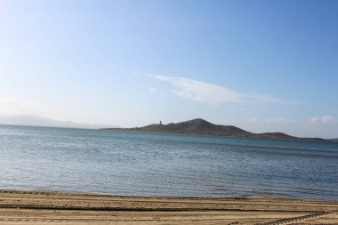 Plaj Manzarası Detay Doğası