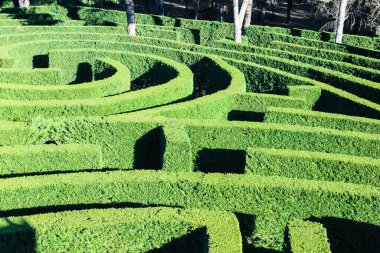 Yeşil Giyimli Labirent Doğası