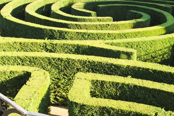 Yeşil Giyimli Labirent Doğası