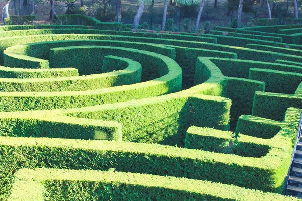Yeşil Giyimli Labirent Doğası