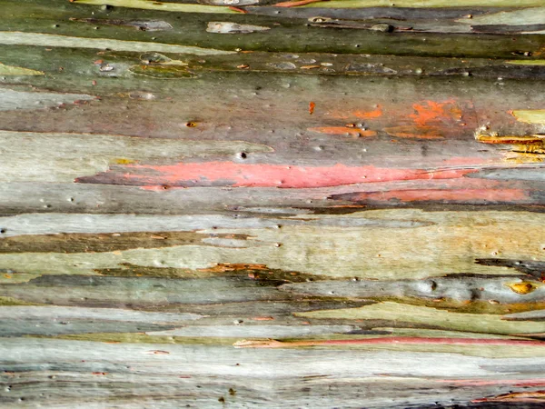 Renkli deri ahşap toprak tonlarda arka plan — Stok fotoğraf