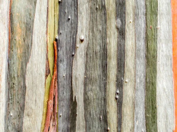 colorful of skin wood earth tone vertical line