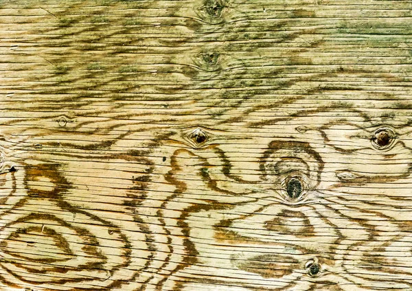 wood texture left, one part in three of wood texture panorama