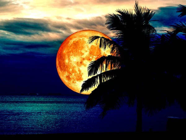 Full blood moon dark sky and silhouette coconut — Stock Photo, Image