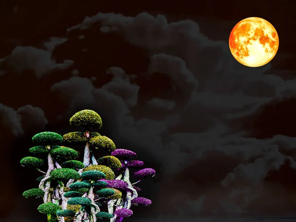 Super blood moon group of bon sai in garden — Stock Photo, Image