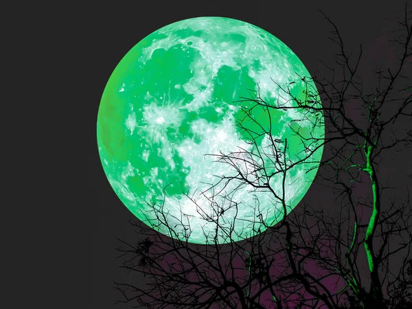 Super luna esmeralda en el cielo oscuro sobre árbol muerto —  Fotos de Stock