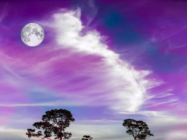 Bulan super di atas pohon — Stok Foto