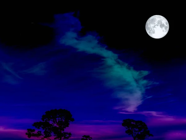 Super luna en el oscuro cielo nocturno sobre el árbol —  Fotos de Stock