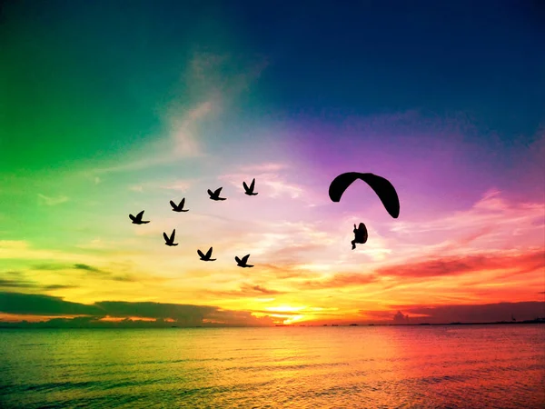 Para motor follow bird flying on sky sunset on ocean — Stock Photo, Image