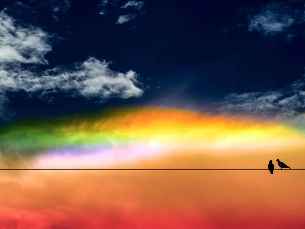 Kaksoislintu värikäs sateenkaaren ja auringonlaskun taivas — kuvapankkivalokuva